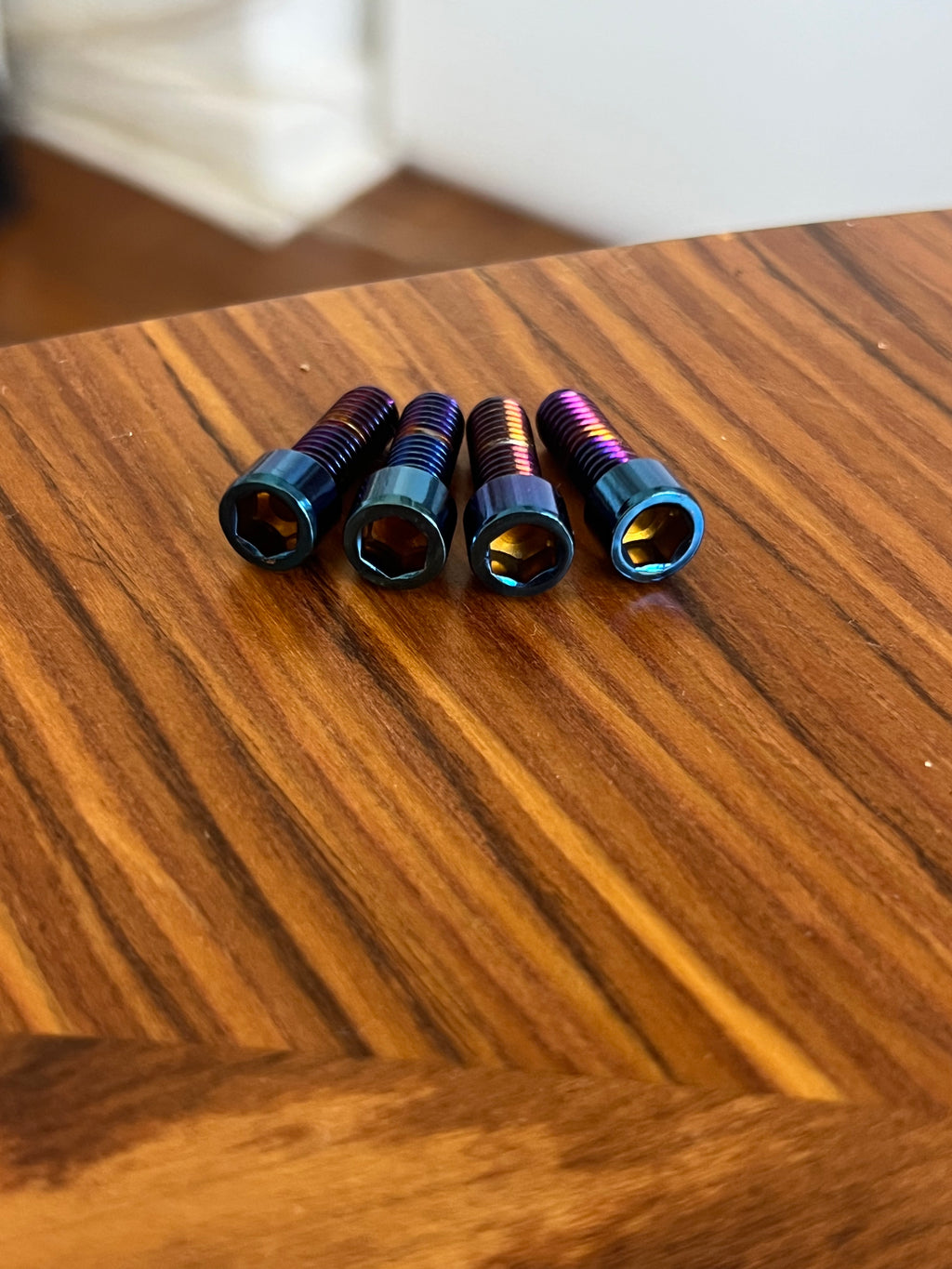 Titanium Bolts for Fatboy Cargo Rack 4 pcs